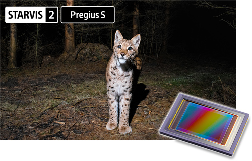 Adopting Sony STARVIS 2 and Pregius S Sensor
