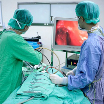Hospital endoscopic system